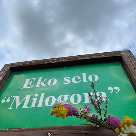 פלוזינה Etno Selo - Guest House Etno Village - Trsa מראה חיצוני תמונה